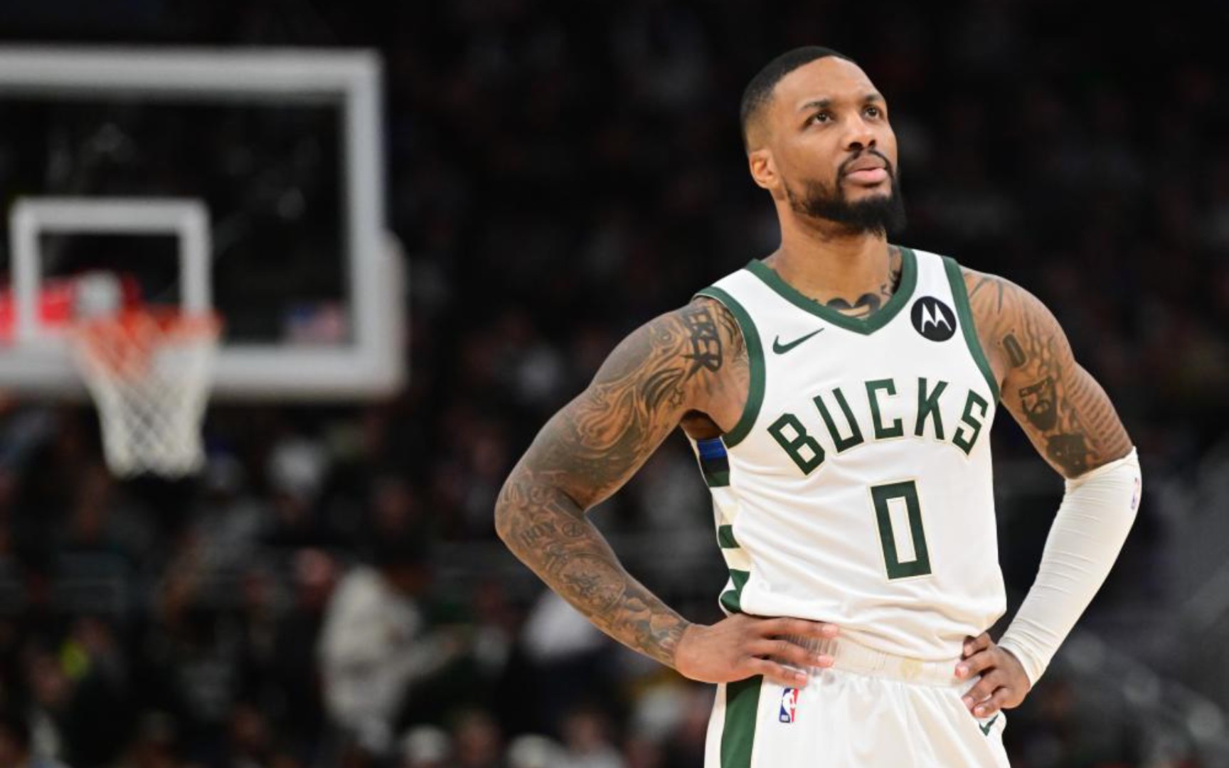 定了基础 定了基础