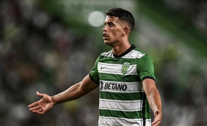 在梅里诺缺 在梅里诺缺