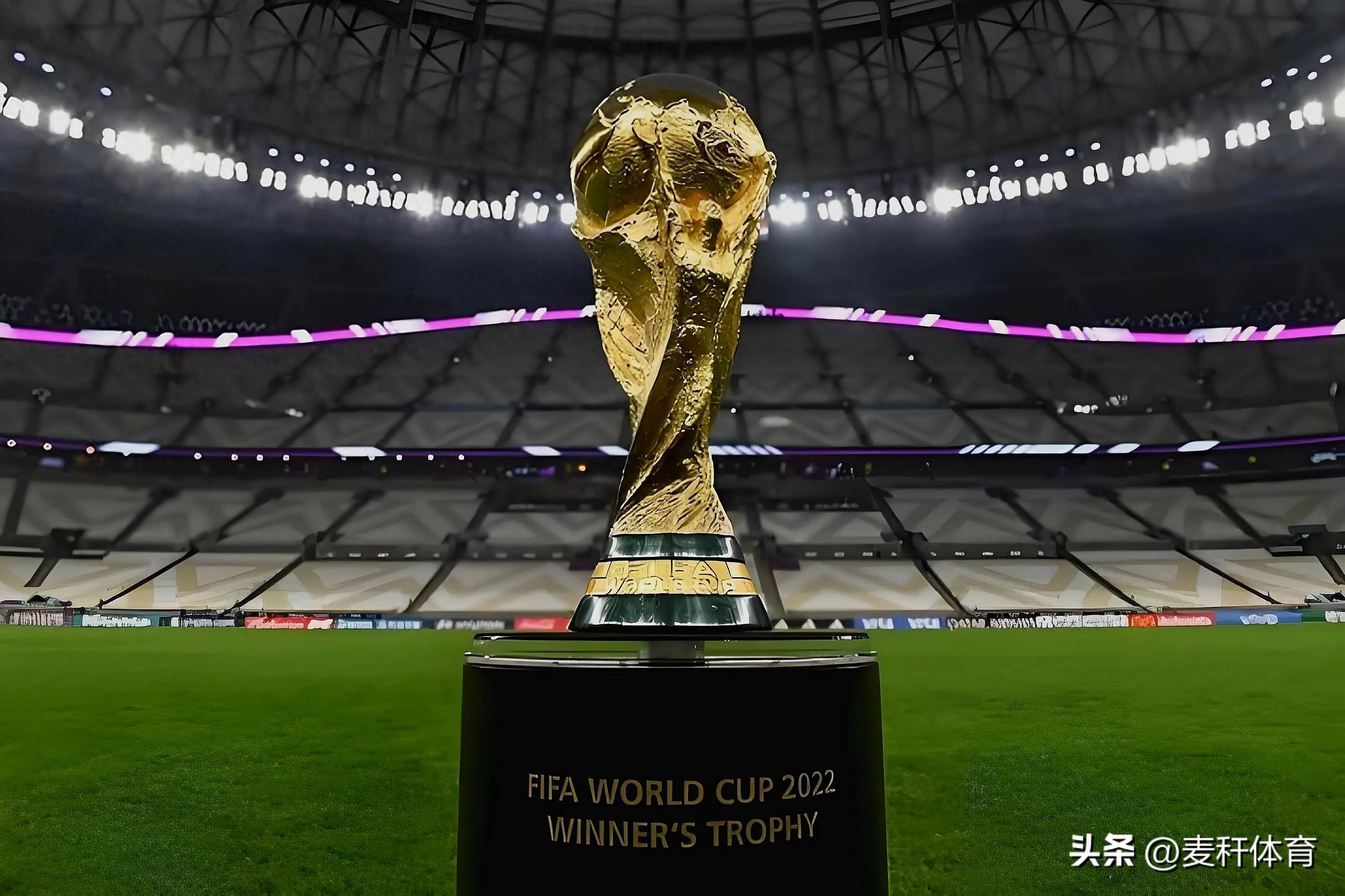 获得了顶级 获得了顶级