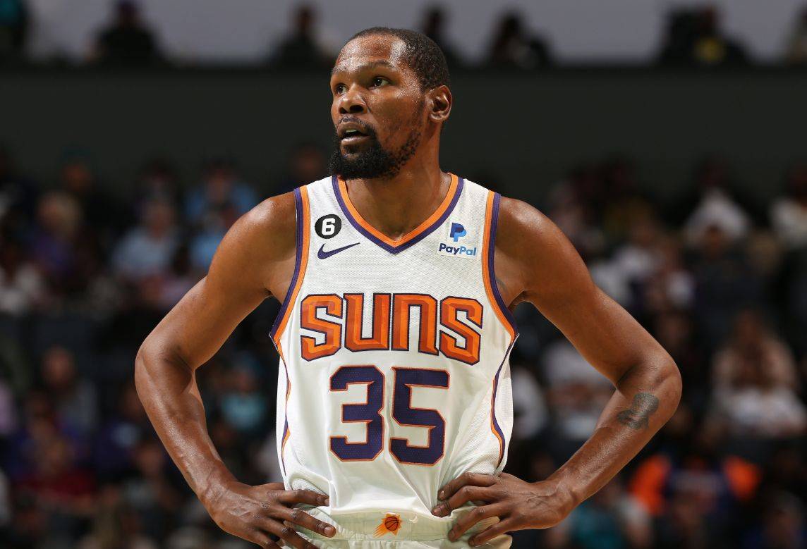 运用不仅提 运用不仅提