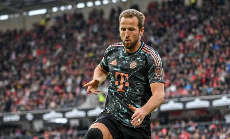 因此在选择 因此在选择