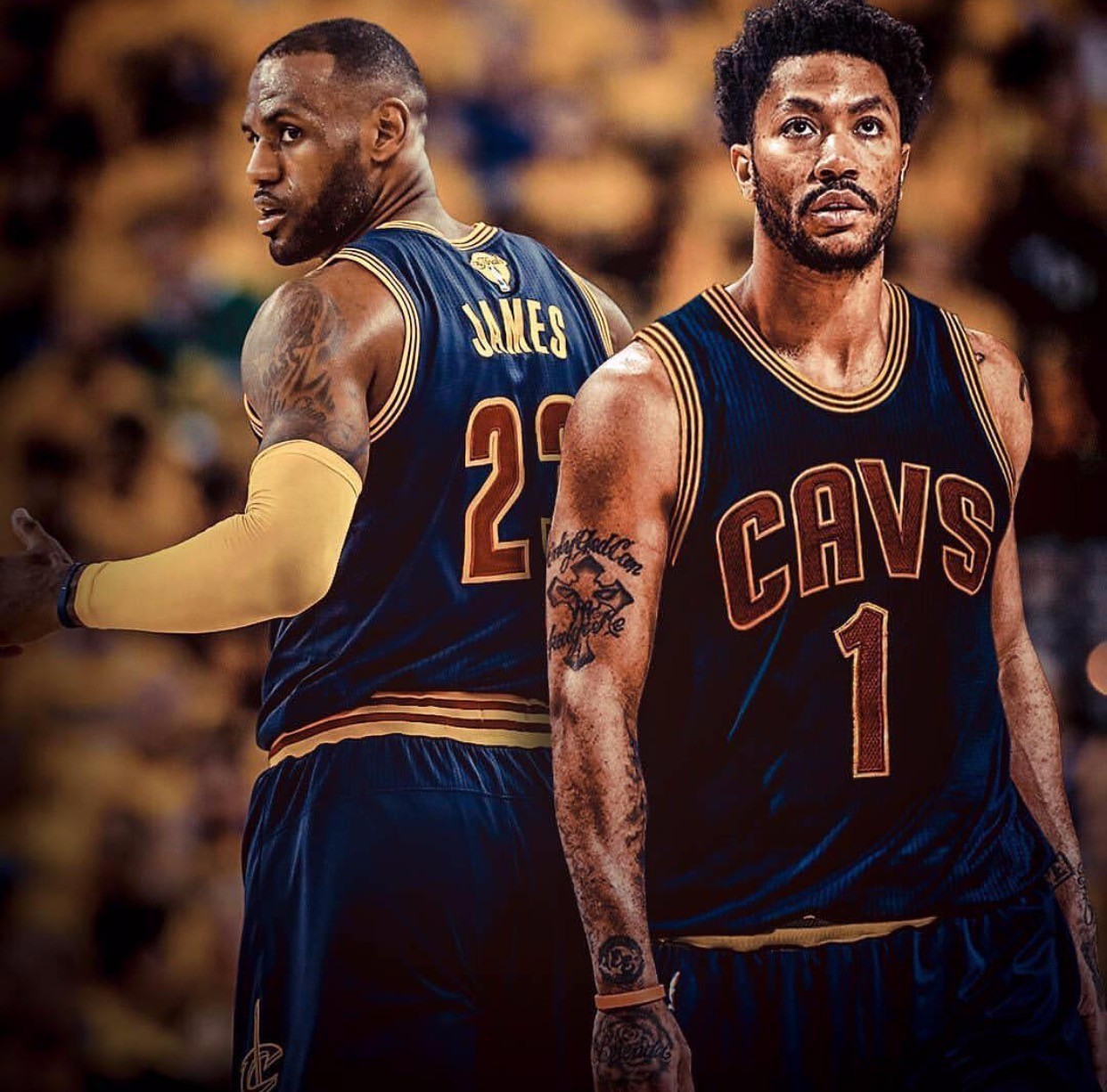 生态闭环 生态闭环