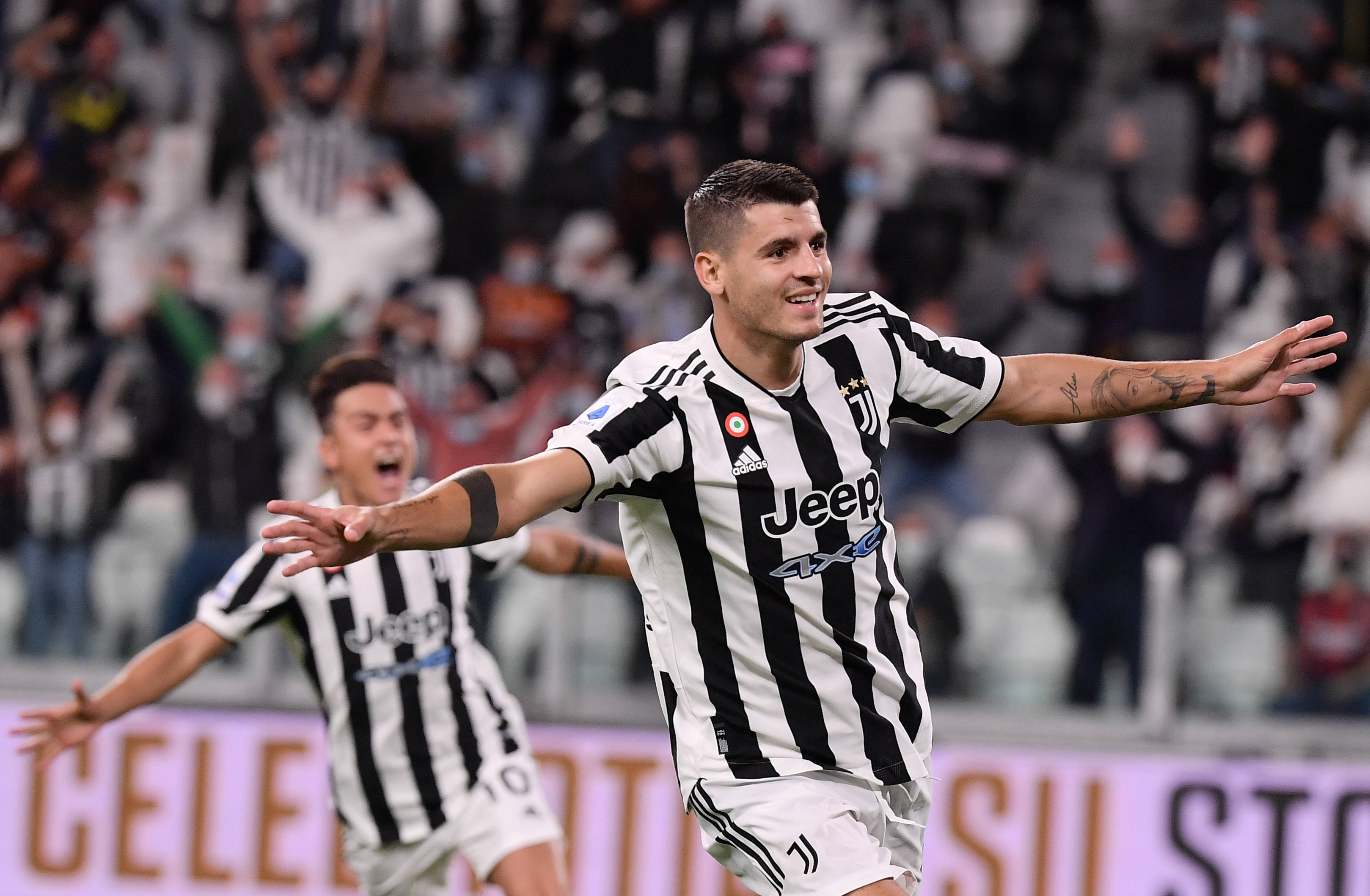 斑马军团 斑马军团